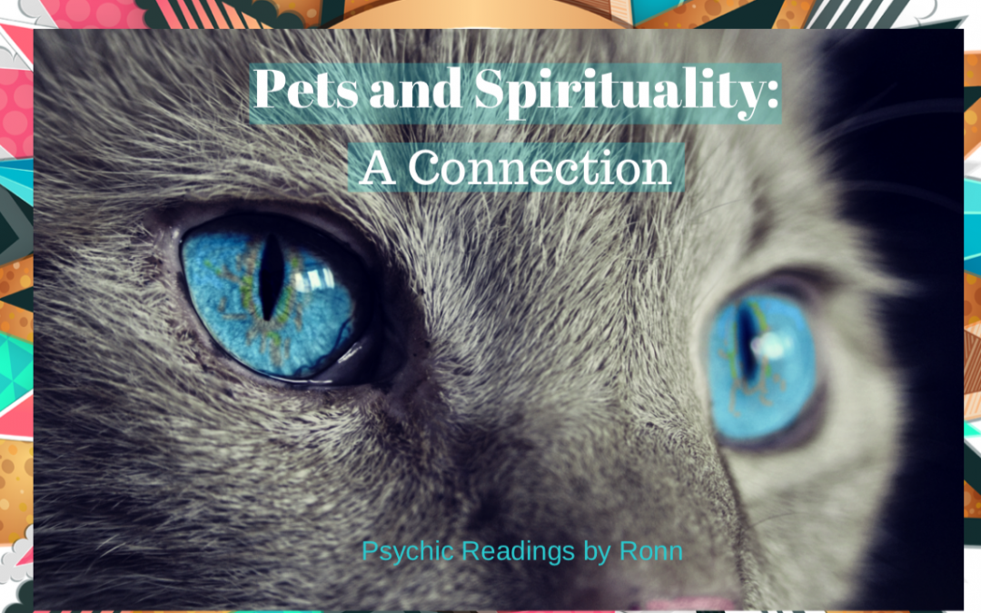 Psychic Readings by Ronn pet spirituality connection